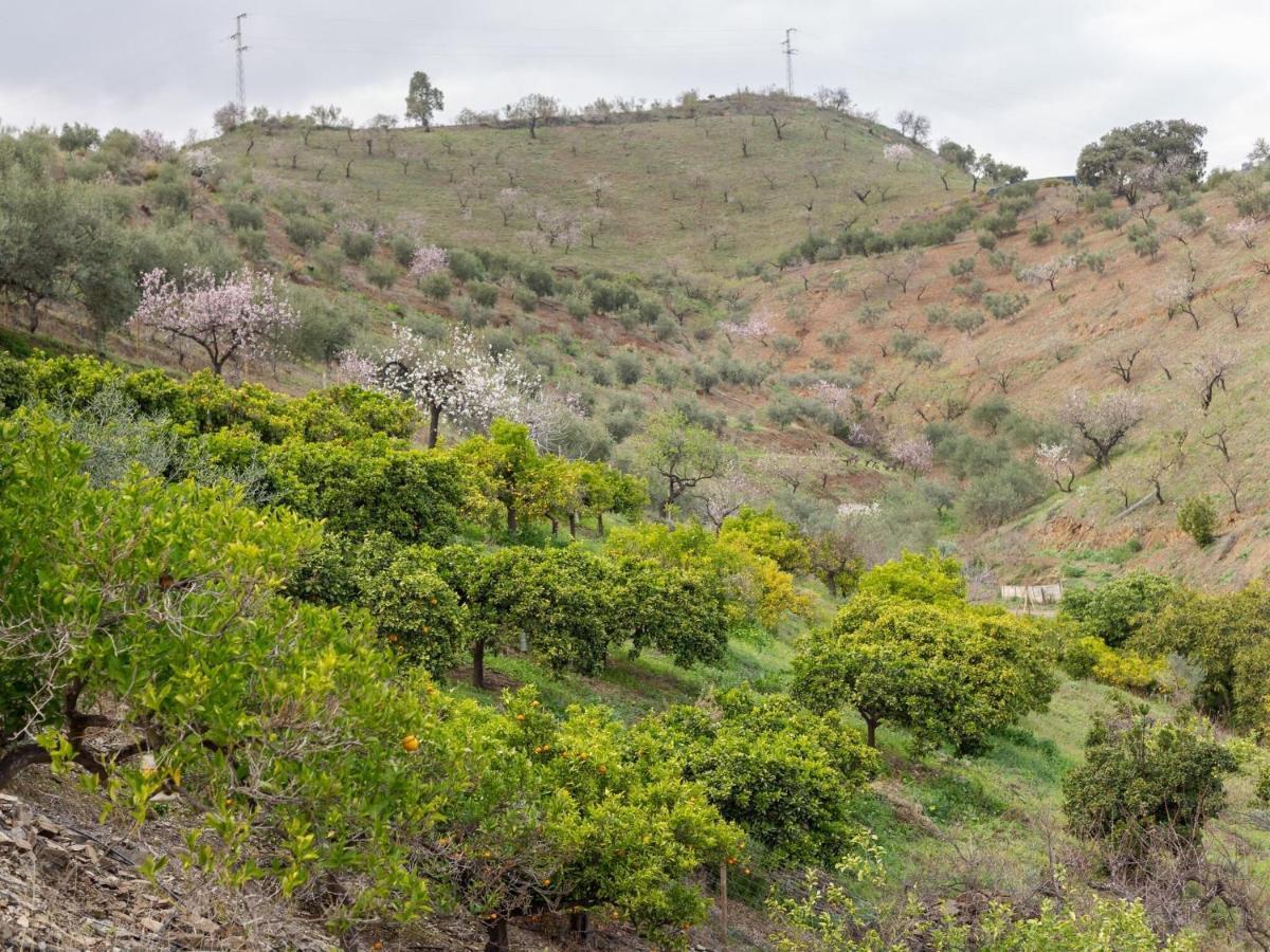 Alojamiento Rural Casa La Era Almogia Bagian luar foto