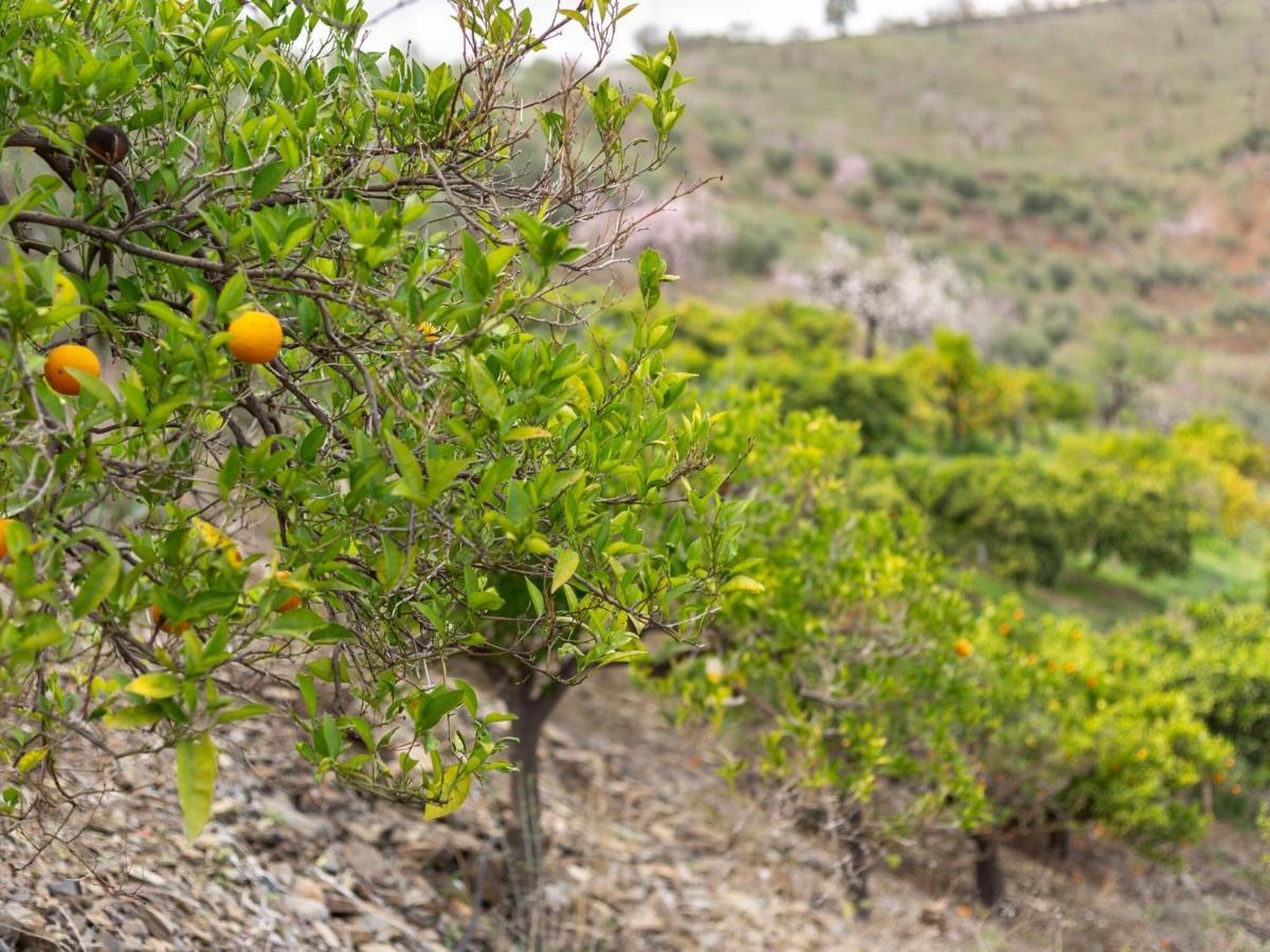 Alojamiento Rural Casa La Era Almogia Bagian luar foto